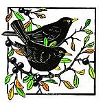 Blackthorn Blackbirds