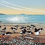 Oystercatchers on the Shore 