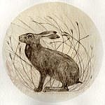 Midsummer Hare