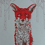 The Stare (Red Fox)
