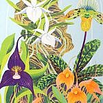 Orchid Bell Jar