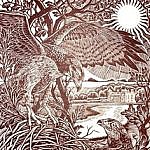 Blickling Buzzards